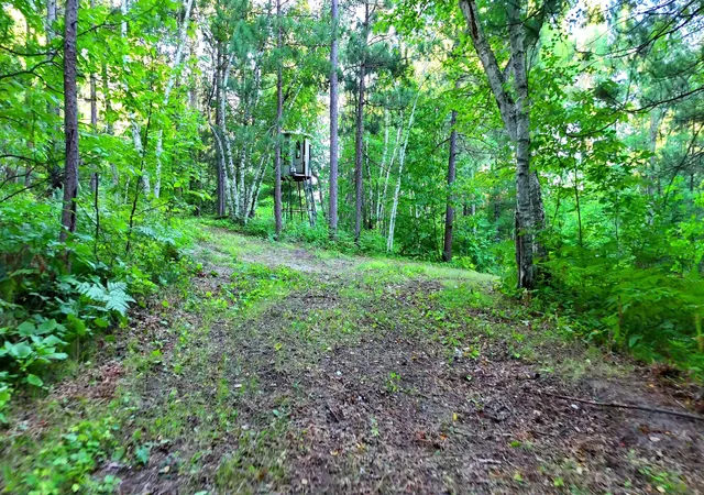 Photo 3 of Sale Pending at Tbd Niemi Dr, Osage, MN 56570 | MLS# 7136861 | Listing updated on 2026-09-24