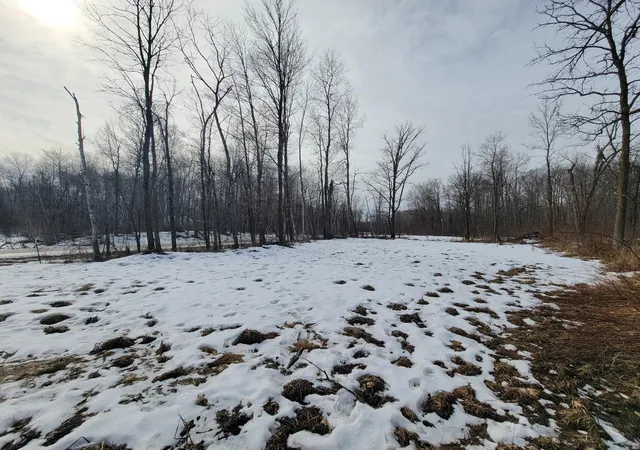 Land for sale at Tbd Xxxx Black Bear Dr SW, Motley, MN 56466 | MLS# 7137069