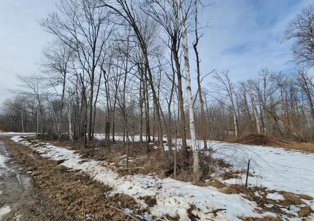 Photo 2 of Land for sale at Tbd Xxxx Black Bear Dr SW, Motley, MN 56466 | MLS# 7137069 | Listing updated on 2026-09-30