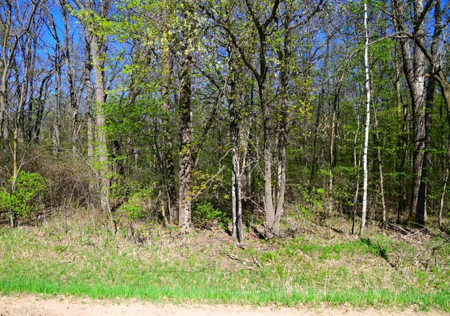 Photo 2 of Land for sale at Tbd 285 Avenue, Browerville, MN 56438 | MLS# 7137123 | Listing updated on 2026-09-01