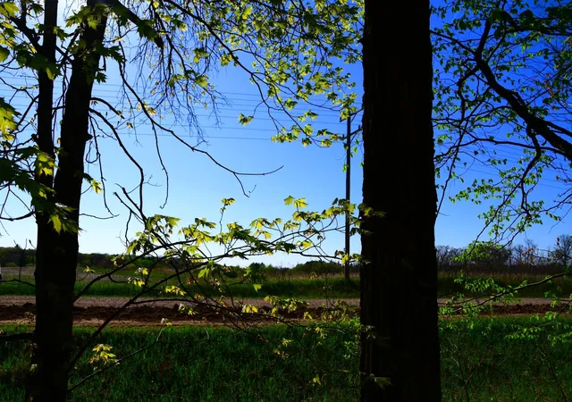 Photo 3 of Land for sale at Tbd 285 Avenue, Browerville, MN 56438 | MLS# 7137123 | Listing updated on 2026-09-01