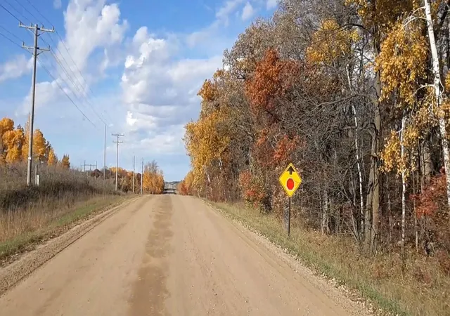 Photo 4 of Land for sale at Tbd 285 Avenue, Browerville, MN 56438 | MLS# 7137123 | Listing updated on 2026-09-01
