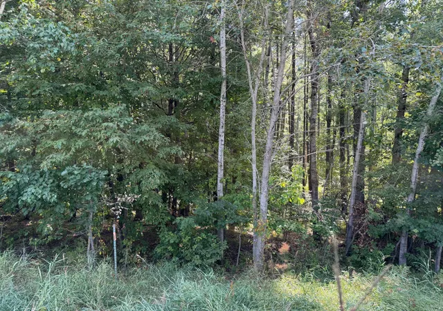 Photo 4 of Land for sale at 440th Street, Perham, MN 56573 | MLS# 7137178 | Listing updated on 2026-09-03