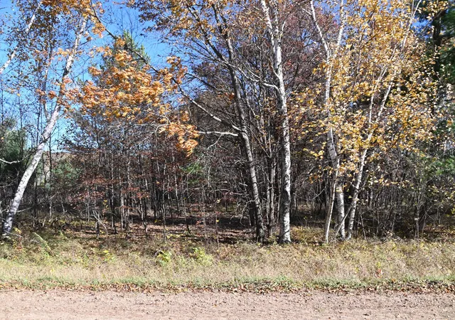 Photo 3 of Land for sale at Tbd Pacer Loop, Browerville, MN 56438 | MLS# 7137212 | Listing updated on 2026-09-01
