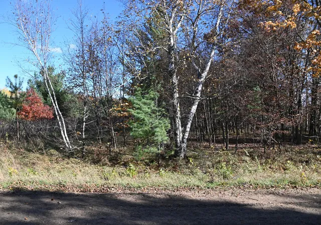Photo 3 of Land for sale at Tbd Pacer Loop, Browerville, MN 56438 | MLS# 7137212 | Listing updated on 2026-09-01