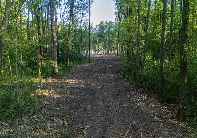 Photo 4 of Land for sale at Xxx Greenwood Trl, Pine City, MN 55063 | MLS# 7137213 | Listing updated on 2026-09-15
