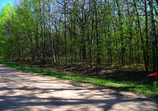 Photo 1 of Land for sale at 28329 Orchard Dr, Browerville, MN 56438 | MLS# 7137226 | Listing updated on 2026-09-22