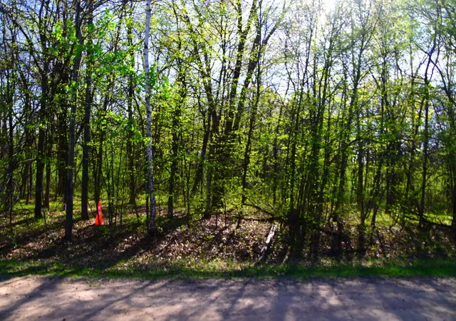 Photo 2 of Land for sale at 28329 Orchard Dr, Browerville, MN 56438 | MLS# 7137226 | Listing updated on 2026-09-22