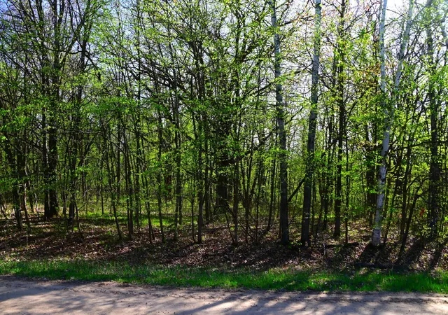 Photo 3 of Land for sale at 28329 Orchard Dr, Browerville, MN 56438 | MLS# 7137226 | Listing updated on 2026-09-22