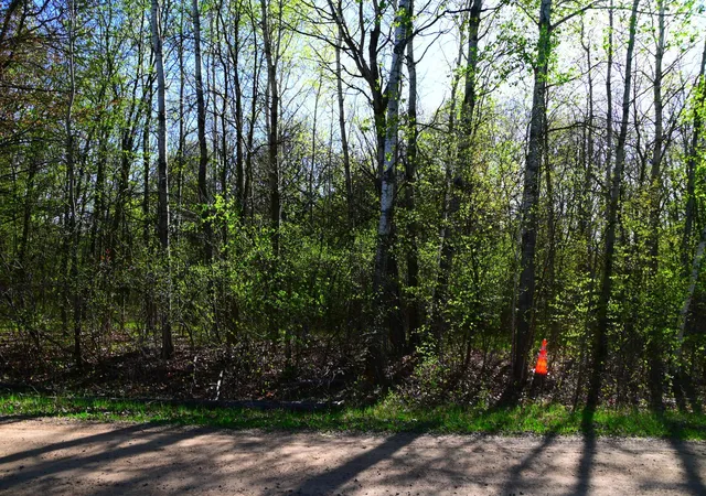 Photo 3 of Land for sale at 28329 Orchard Dr, Browerville, MN 56438 | MLS# 7137226 | Listing updated on 2026-09-22