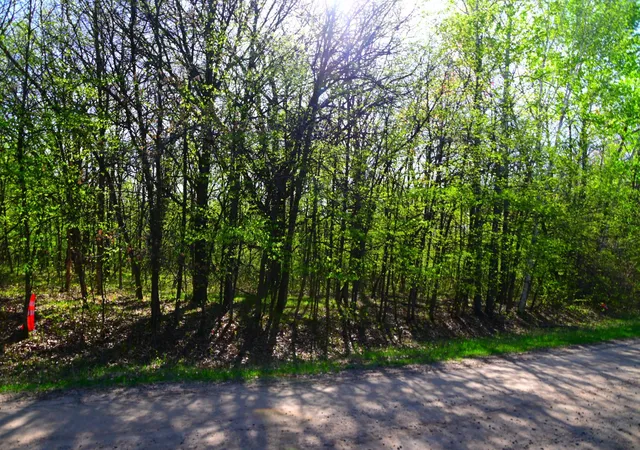 Photo 4 of Land for sale at 28329 Orchard Dr, Browerville, MN 56438 | MLS# 7137226 | Listing updated on 2026-09-22