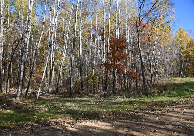 Photo 1 of Land for sale at 39924 Oriole Ct, Browerville, MN 56438 | MLS# 7137233 | Listing updated on 2026-09-01
