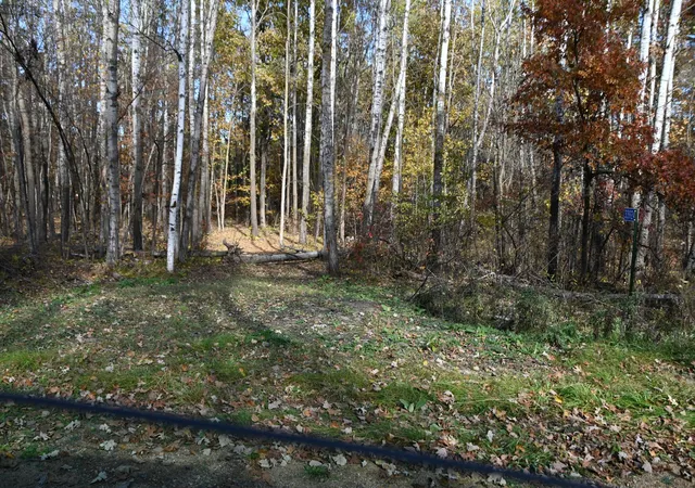 Photo 2 of Land for sale at 39924 Oriole Ct, Browerville, MN 56438 | MLS# 7137233 | Listing updated on 2026-09-01