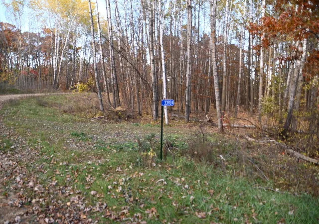 Photo 3 of Land for sale at 39924 Oriole Ct, Browerville, MN 56438 | MLS# 7137233 | Listing updated on 2026-09-01