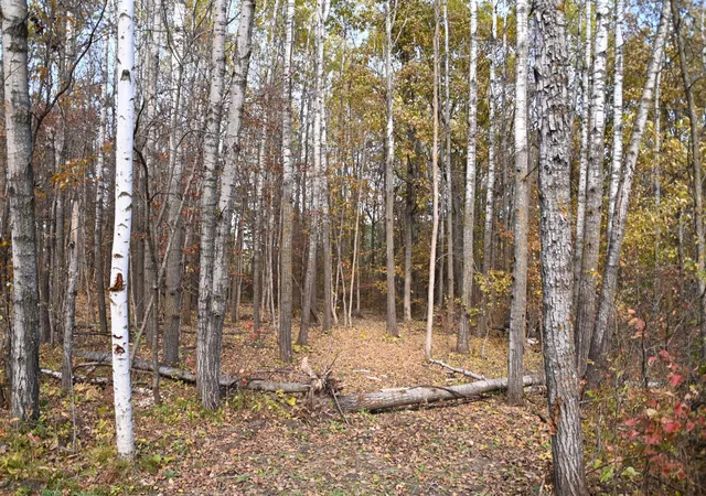 Photo 3 of Land for sale at 39924 Oriole Ct, Browerville, MN 56438 | MLS# 7137233 | Listing updated on 2026-09-01