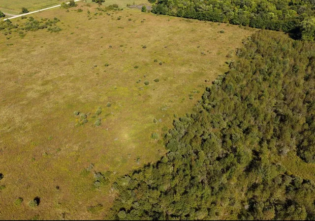 Photo 4 of Land for sale at 60252 335th Street, Wadena, MN 56482 | MLS# 7137818 | Listing updated on 2026-09-04