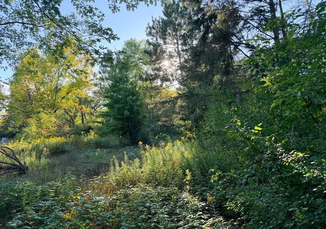 Photo 2 of Land for sale at 2346 150th Avenue, Braham, MN 55006 | MLS# 7137875 | Listing updated on 2026-09-04