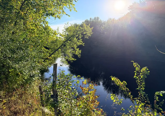 Photo 3 of Land for sale at 2346 150th Avenue, Braham, MN 55006 | MLS# 7137875 | Listing updated on 2026-09-04
