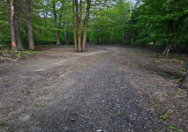 Photo 3 of Land for sale at Tbd Girl Lake Trl Ne, Longville, MN 56655 | MLS# 7137936 | Listing updated on 2026-10-09