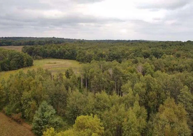 Photo 61 of Single family home for sale at N8339 Champion Rd, Trego, WI 54888 | MLS# 7138092 | Listing updated on 2026-09-06