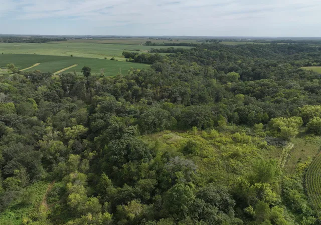 Photo 4 of Sale Pending at 34378 310th Street, Lanesboro, MN 55949 | MLS# 7138246 | Listing updated on 2026-09-20