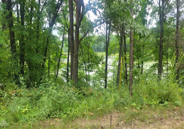 Land for sale at Tbd Cedar Rd, Cushing, MN 56443 | MLS# 7138366