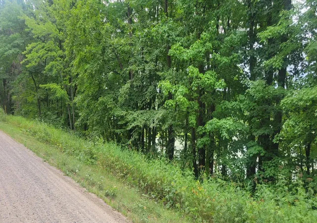 Photo 2 of Land for sale at Tbd Cedar Rd, Cushing, MN 56443 | MLS# 7138366 | Listing updated on 2026-09-03