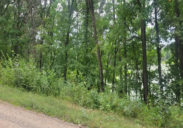 Photo 3 of Land for sale at Tbd Cedar Rd, Cushing, MN 56443 | MLS# 7138366 | Listing updated on 2026-09-03