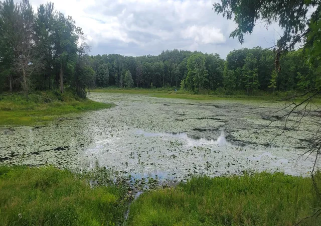 Photo 3 of Land for sale at Tbd Cedar Rd, Cushing, MN 56443 | MLS# 7138366 | Listing updated on 2026-09-03