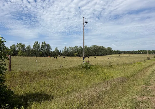 Photo 3 of Sale Pending at Tbd Frazee Rd, Frazee, MN 56544 | MLS# 7138716 | Listing updated on 2026-09-03