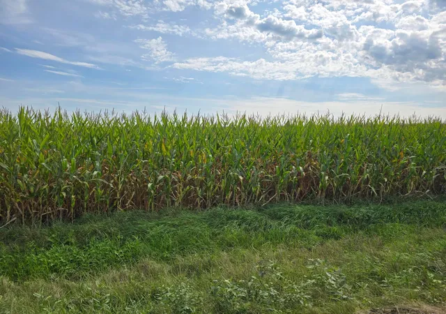 Photo 1 of Land for sale at 120th 120, Le Roy, MN 55951 | MLS# 7139135 | Listing updated on 2026-09-04