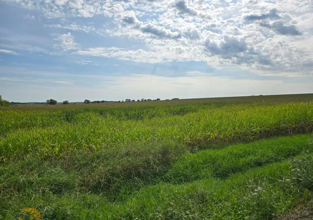 Photo 2 of Land for sale at 120th 120, Le Roy, MN 55951 | MLS# 7139135 | Listing updated on 2026-09-04