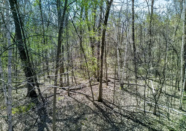 Photo 4 of Land for sale at Parcel 3 Grand Ave, Harris, MN 55032 | MLS# 7139155 | Listing updated on 2026-10-03