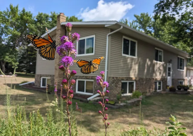 Photo 1 of Single family home for sale at 519 1st Avenue Se, Rothsay, MN 56579 | MLS# 7139351 | Listing updated on 2026-09-26