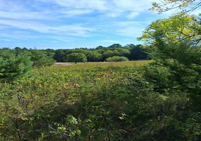 Photo 2 of Land for sale at Tbd Overland Dr, Browerville, MN 56438 | MLS# 7139363 | Listing updated on 2026-09-12