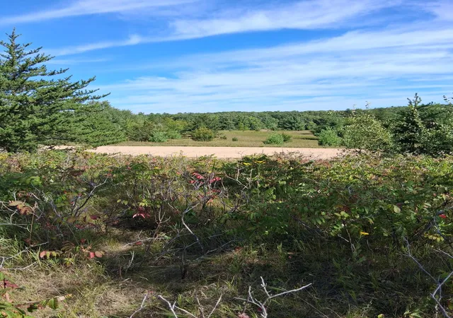 Photo 3 of Land for sale at Tbd Overland Dr, Browerville, MN 56438 | MLS# 7139363 | Listing updated on 2026-09-12