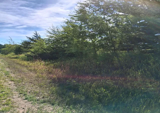 Photo 4 of Land for sale at Tbd Overland Dr, Browerville, MN 56438 | MLS# 7139363 | Listing updated on 2026-09-12