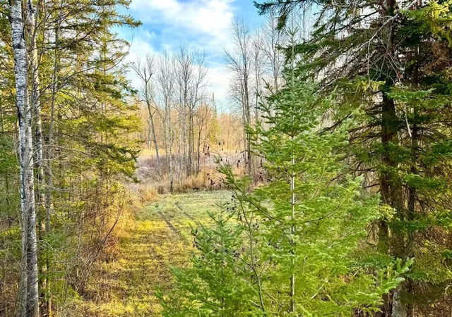 Photo 2 of Land for sale at 16794 Driftwood St, Mc Gregor, MN 55760 | MLS# 7139531 | Listing updated on 2026-09-12