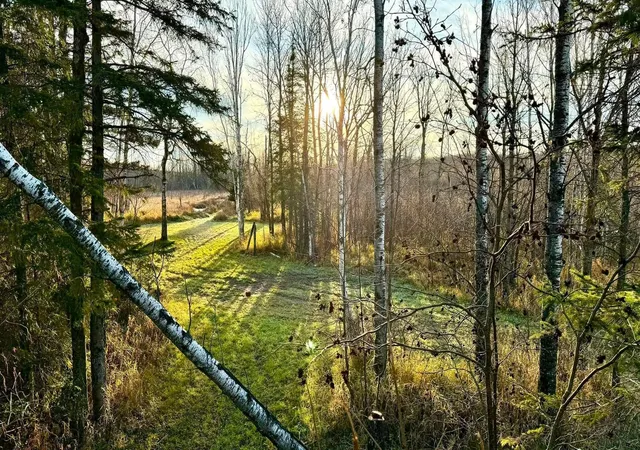 Photo 3 of Land for sale at 16794 Driftwood St, Mc Gregor, MN 55760 | MLS# 7139531 | Listing updated on 2026-09-12