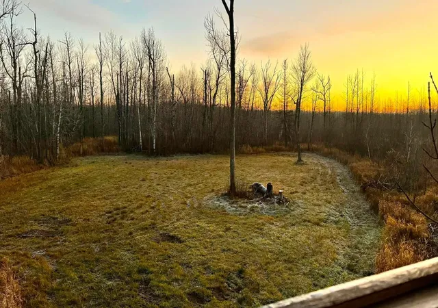 Photo 3 of Land for sale at 16794 Driftwood St, Mc Gregor, MN 55760 | MLS# 7139531 | Listing updated on 2026-09-12
