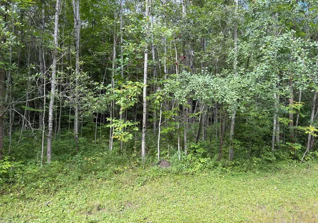 Photo 2 of Land for sale at 28712 480th Street, Palisade, MN 56469 | MLS# 7139780 | Listing updated on 2026-09-07