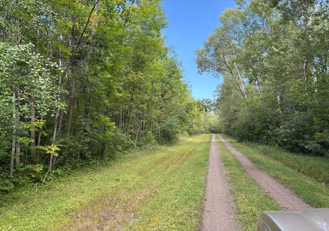 Photo 3 of Land for sale at 28712 480th Street, Palisade, MN 56469 | MLS# 7139780 | Listing updated on 2026-09-07