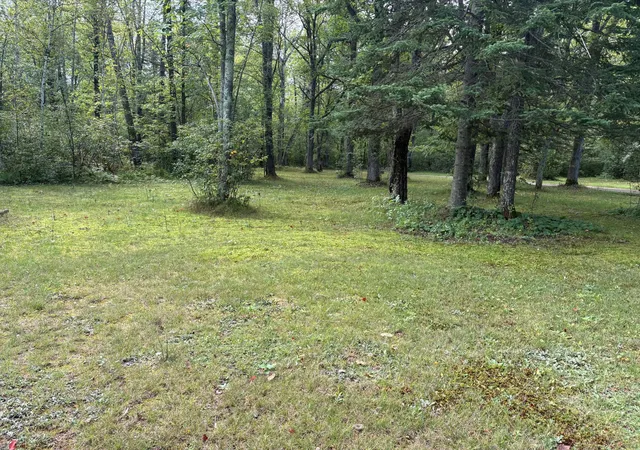 Photo 4 of Land for sale at 28712 480th Street, Palisade, MN 56469 | MLS# 7139780 | Listing updated on 2026-09-07