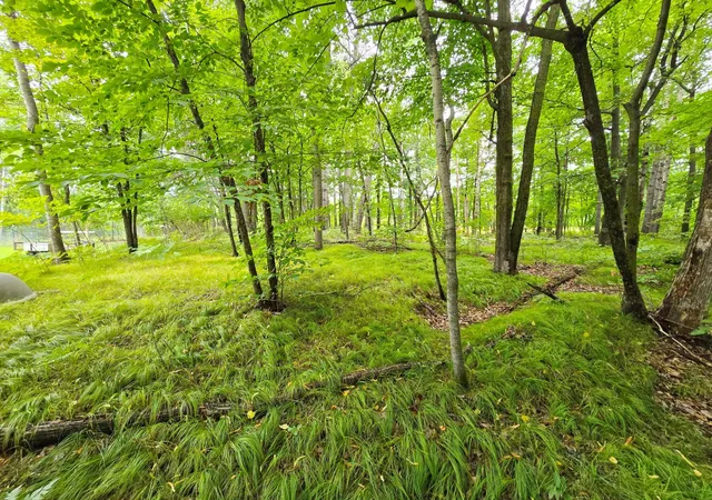 Single family home for sale at 16359 County Rd 10, Deerwood, MN 56444 | MLS# 7139904 | Listing updated on 2026-09-25
