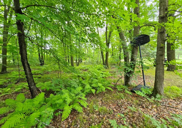 Single family home for sale at 16359 County Rd 10, Deerwood, MN 56444 | MLS# 7139904 | Listing updated on 2026-09-25