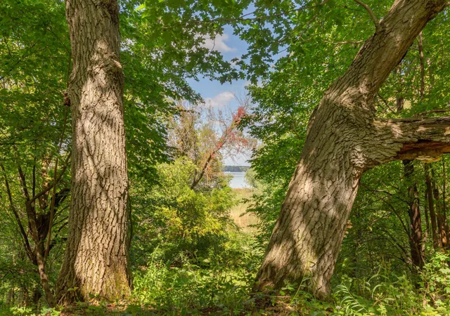 Photo 2 of Land for sale at Tbd Farwell Path, Faribault, MN 55021 | MLS# 7140500 | Listing updated on 2026-09-21