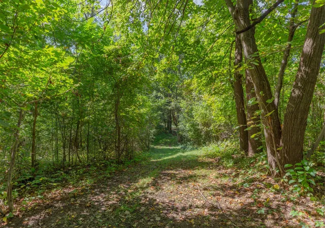 Photo 3 of Land for sale at Tbd Farwell Path, Faribault, MN 55021 | MLS# 7140500 | Listing updated on 2026-09-21