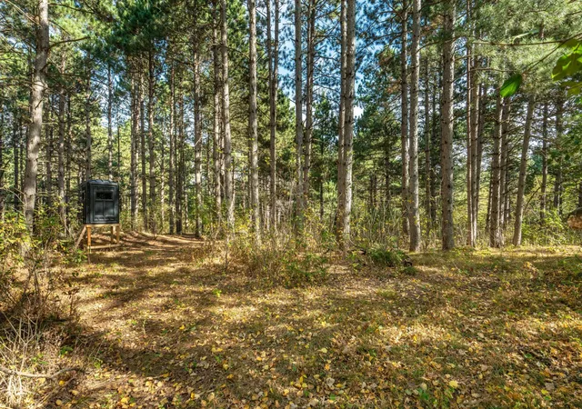 Photo 1 of Sale Pending at Tbd Rocky Ridge Rd, Henning, MN 56551 | MLS# 7140715 | Listing updated on 2026-09-13