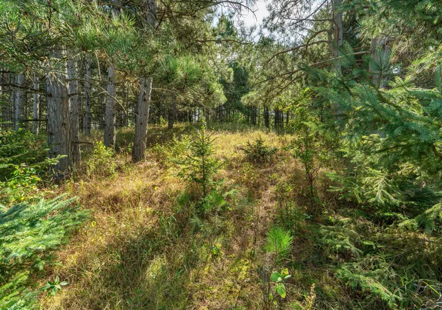 Photo 3 of Sale Pending at Tbd Rocky Ridge Rd, Henning, MN 56551 | MLS# 7140715 | Listing updated on 2026-09-13