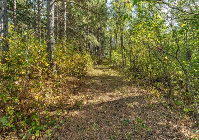 Photo 4 of Sale Pending at Tbd Rocky Ridge Rd, Henning, MN 56551 | MLS# 7140715 | Listing updated on 2026-09-13